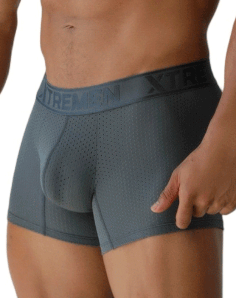 Xtremen 91251 Xtremen Micro-perforated Boxer Briefs Gray