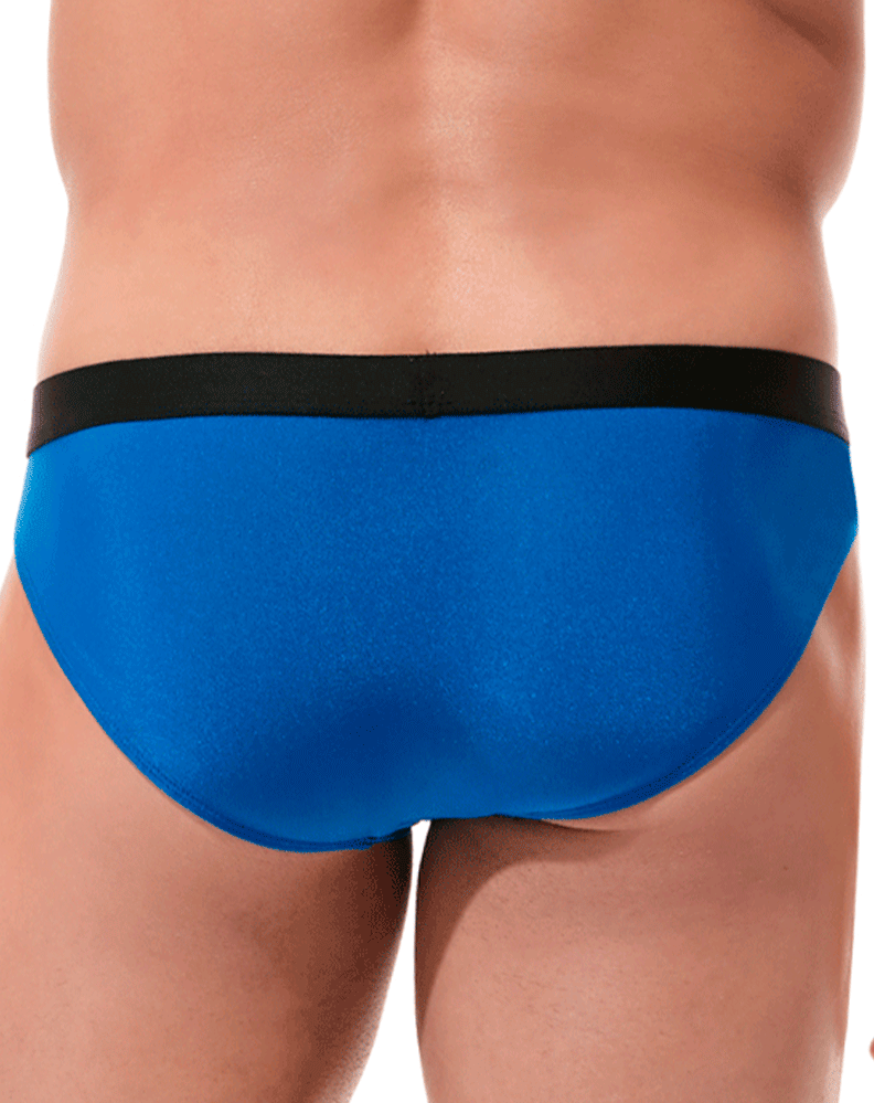 Gregg Homme Torridz Brief 87423 Royal