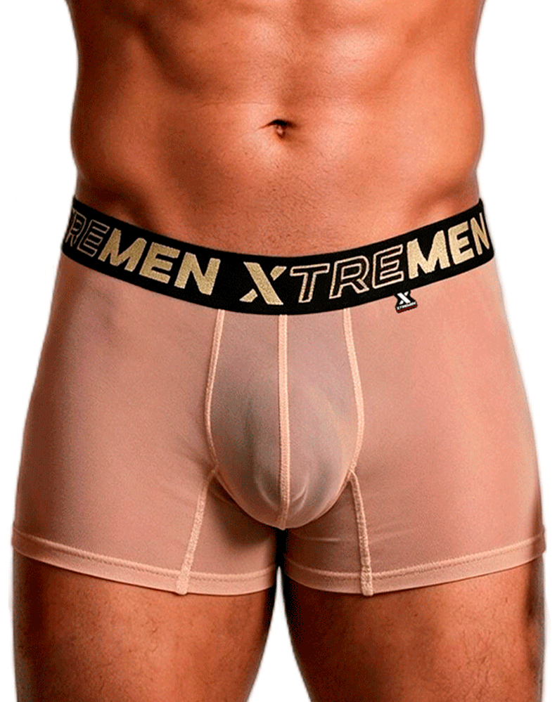 Xtremen 91277 Microfiber Mesh Boxer Briefs Brown