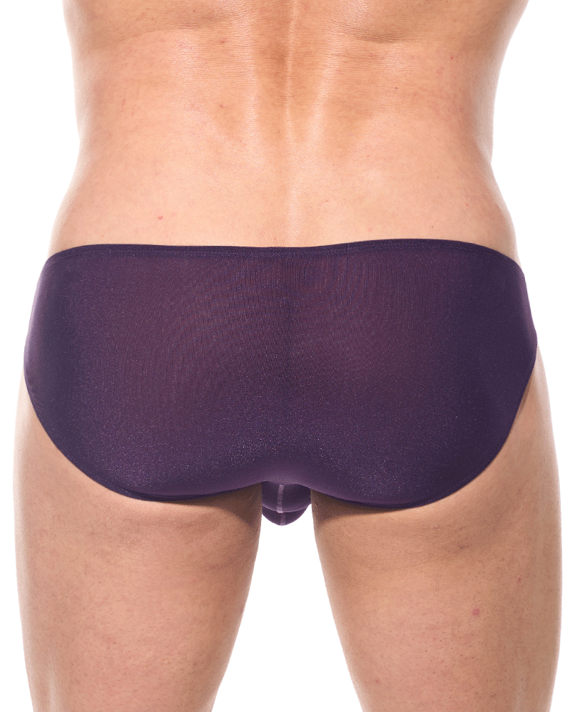 Gregg Homme Torridz Brief 87403 Plum